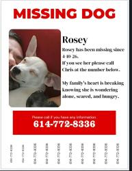 Lost Female Dog last seen West broad st, Columbus, OH 43228