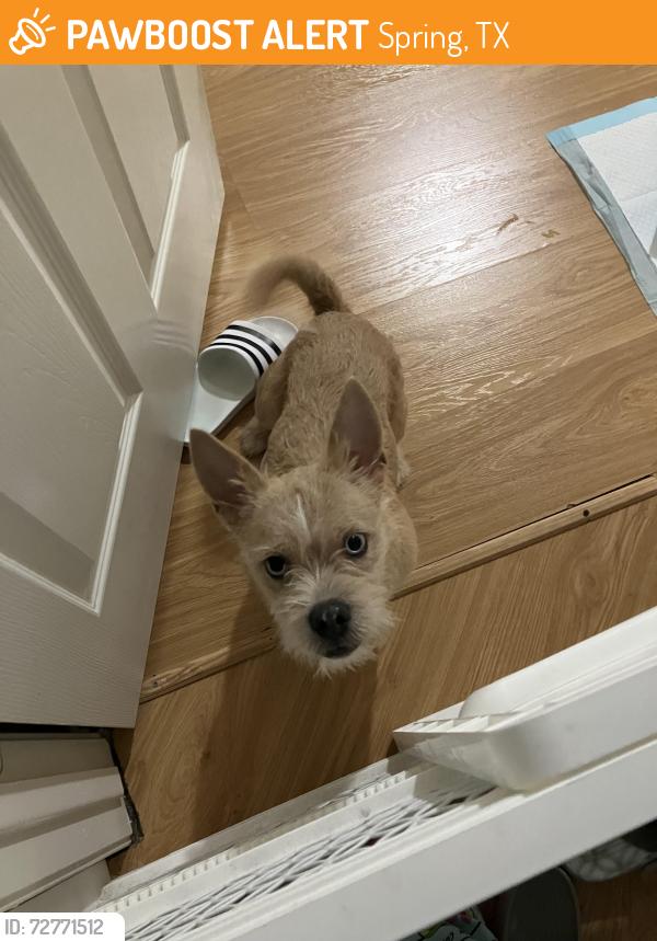 Found/Stray Male Dog last seen Inside Meyer Park on Cypresswood , Spring, TX 77379