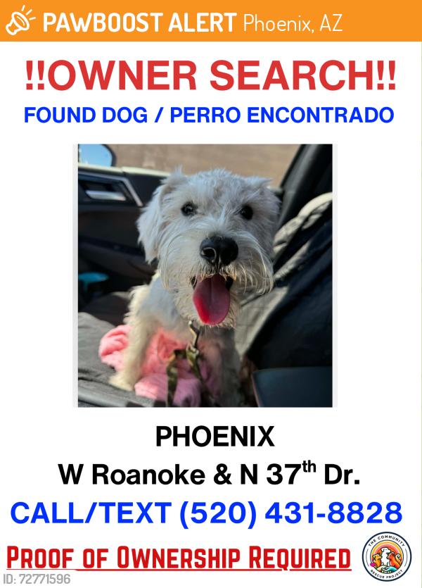 Found/Stray Male Dog last seen Roanoke and 37th Dr., Phoenix, AZ 85009