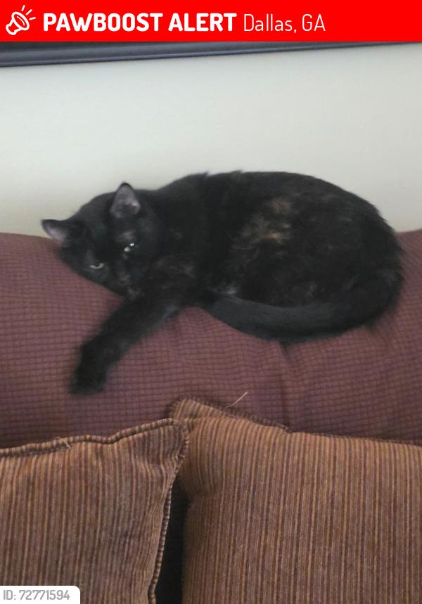 Lost Female Cat last seen Old Yorkville Rd. Near Roses store, Dallas, GA 30157