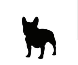 Found/Stray Unknown Dog last seen By gallos bakery , San Angelo, TX 76903