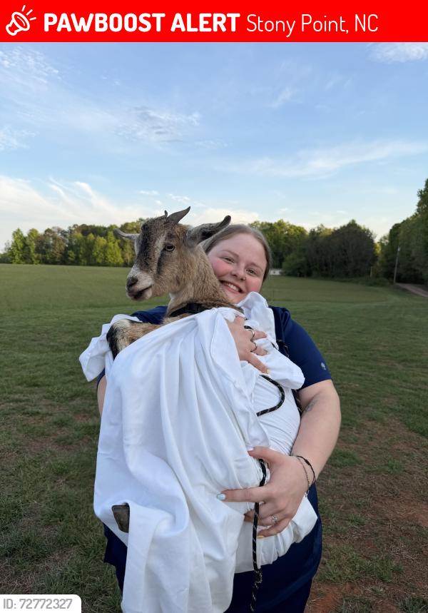 Lost Unknown Other last seen Liberty Hill Rd, Stony Point, NC 28678