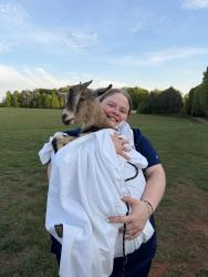 Lost Unknown Other last seen Liberty Hill Rd, Stony Point, NC 28678