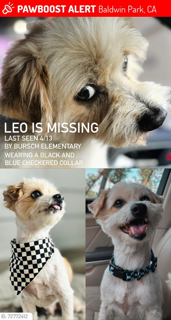Lost Male Dog last seen Walnut street and Palm Ave. , Baldwin Park, CA 91706