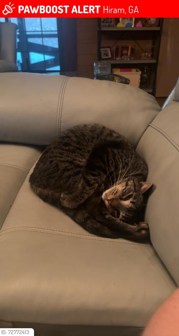 Lost Male Cat last seen Near Garnet Ridge Rd, Hiram, GA 30141