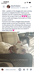 Found/Stray Female Dog last seen 100th terrace , Tamarac, FL 33321