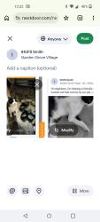 Lost Female Cat last seen Westminster & Newhope , Garden Grove, CA 92843