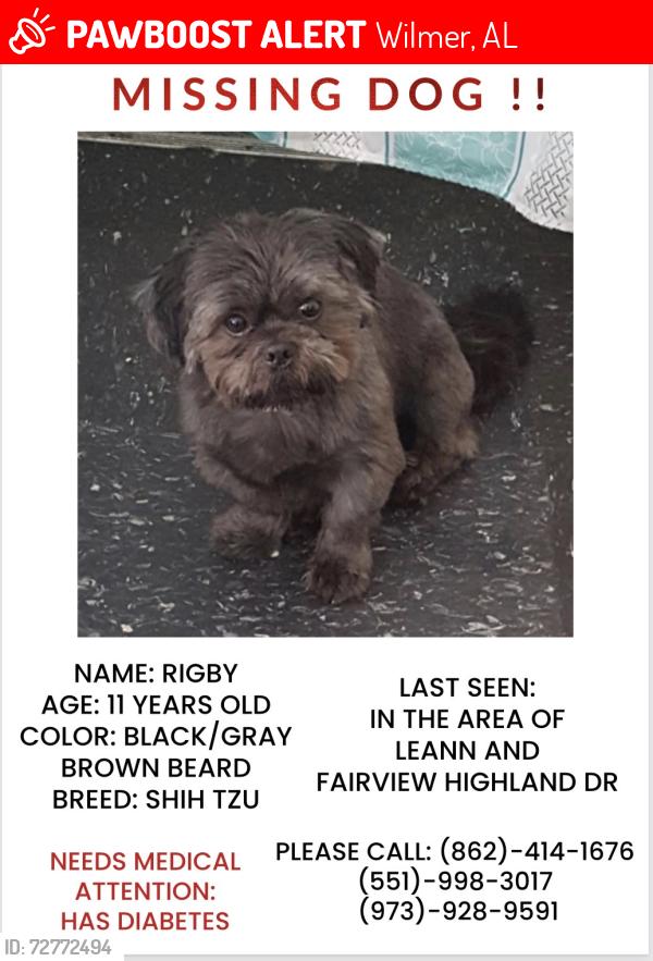 Lost Male Dog last seen Sarah Pl Leann Ln, Wilmer, AL 36587