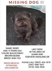 Lost Male Dog last seen Sarah Pl Leann Ln, Wilmer, AL 36587