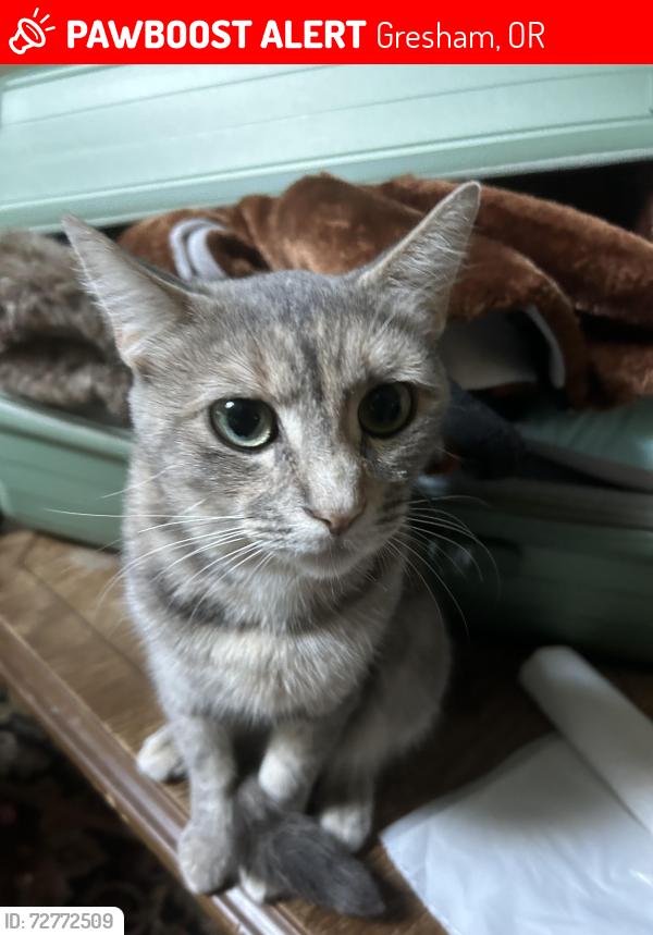 Lost Female Cat last seen McDonald’s on highland dr, Gresham, OR 97030