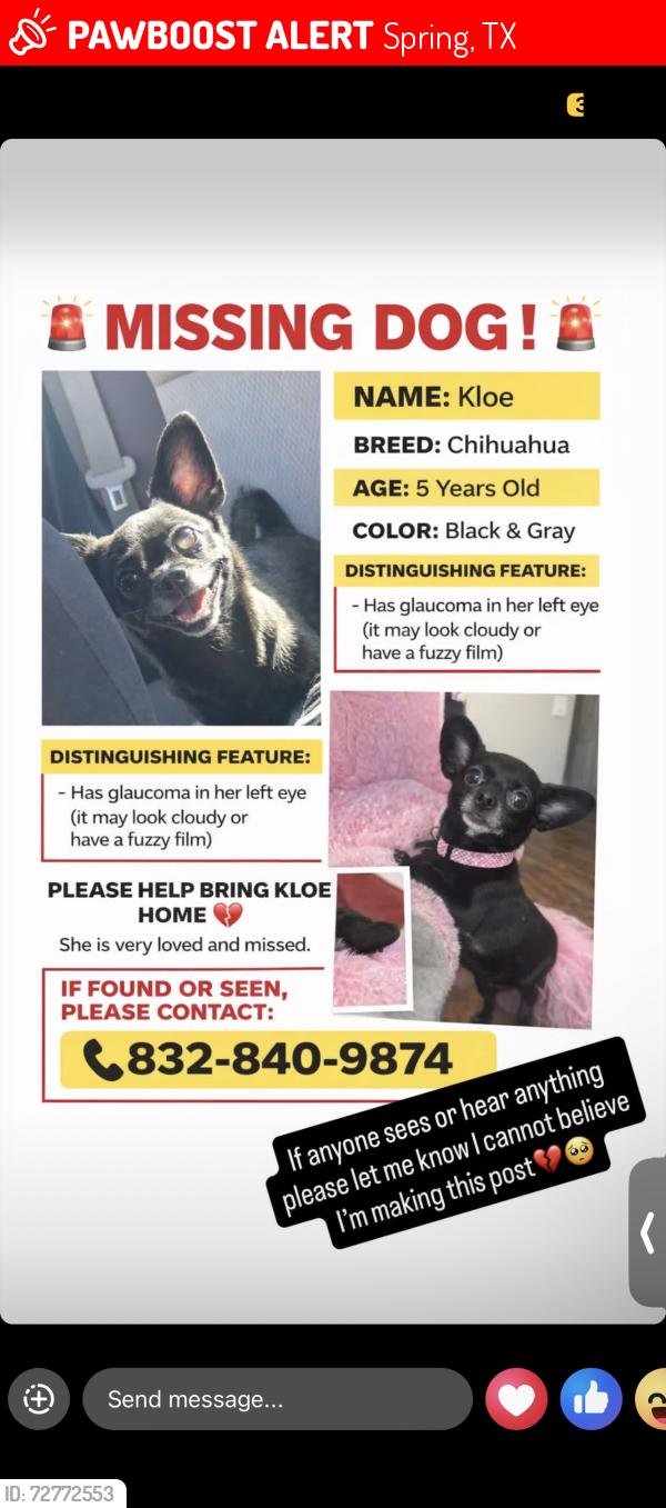 Lost Female Dog last seen Fox hollow , Spring, TX 77389