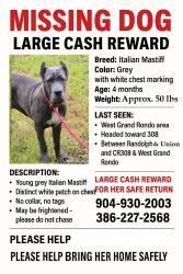 Lost Female Dog last seen Highway 17, Putnam County, FL 32112