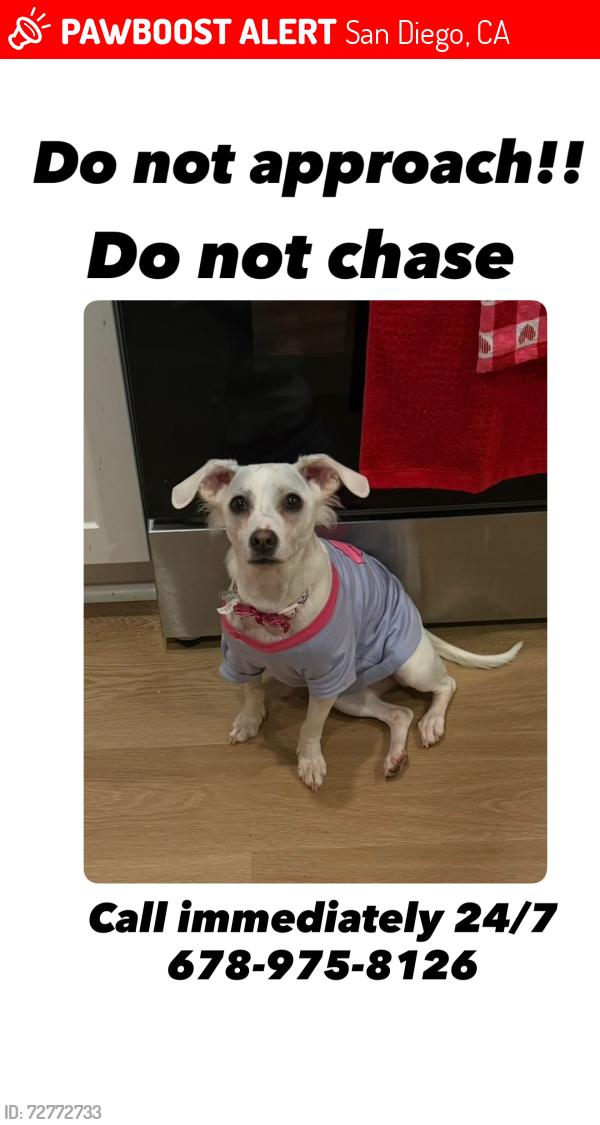Lost Female Dog last seen Kaiser hosp, San Diego, CA 92154