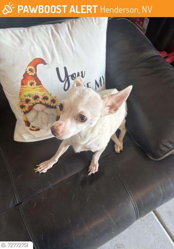 Found/Stray Male Dog last seen Kelso Dunes, Henderson, NV 89014