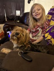 Lost Female Dog last seen Aragona , Virginia Beach, VA 23455