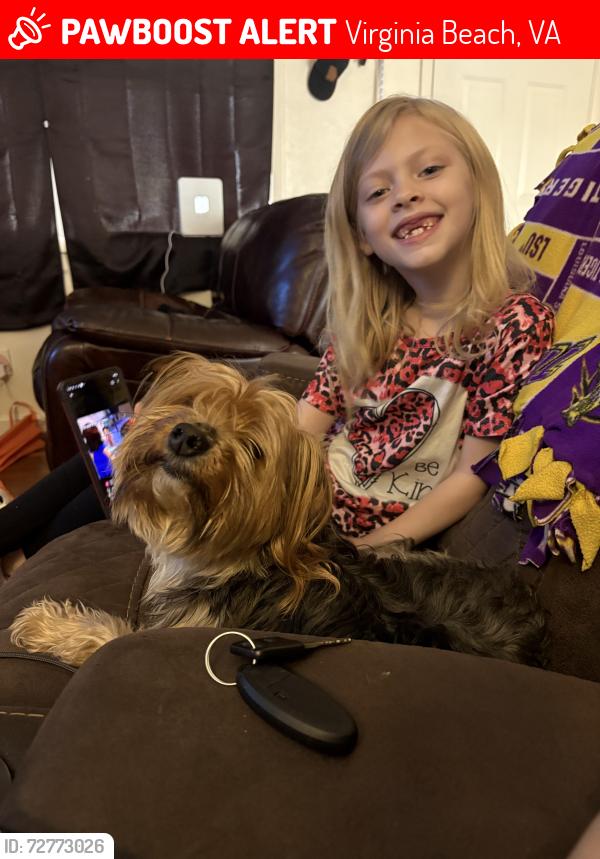 Lost Female Dog last seen Aragona , Virginia Beach, VA 23455