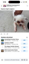 Found/Stray Female Dog last seen Trailstone community , Caddo Mills, TX 75135