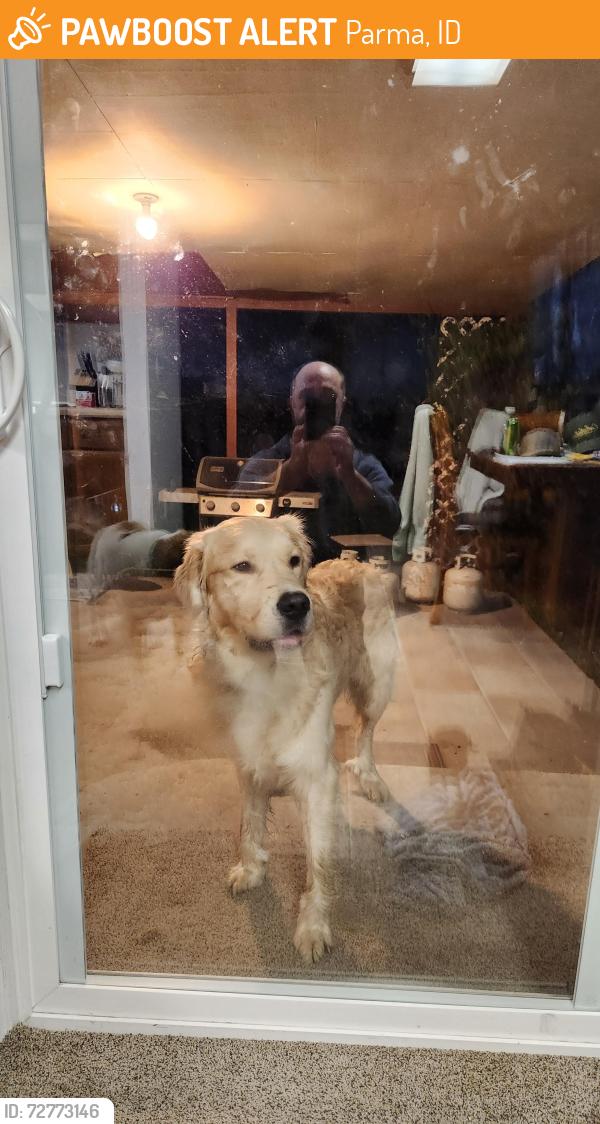 Found/Stray Male Dog last seen Fargo , Parma, ID 83660
