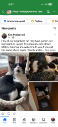 Lost Male Cat last seen Milton, Saint Paul, MN 55102