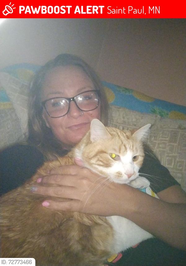 Lost Male Cat last seen Rice St and Winter, Saint Paul MN , Saint Paul, MN 55103