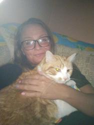 Lost Male Cat last seen Rice St and Winter, Saint Paul MN , Saint Paul, MN 55103