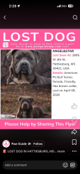 Found/Stray Female Dog last seen Usm, Hattiesburg, MS 39402