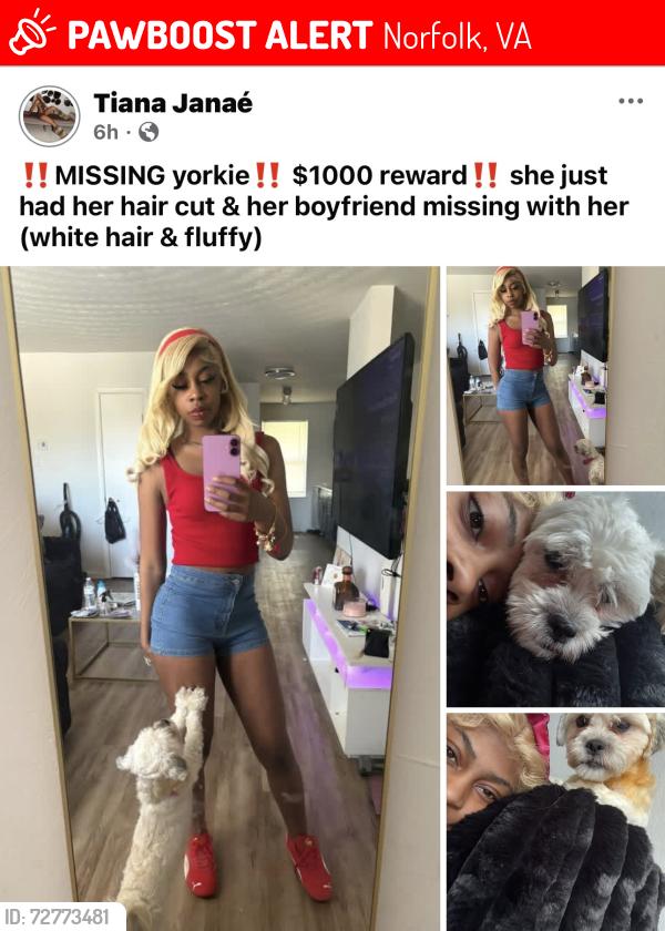 Lost Female Dog last seen Near Lexington apmts, Norfolk, VA 23513