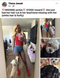 Lost Female Dog last seen Near Lexington apmts, Norfolk, VA 23513