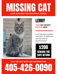 Lost Male Cat last seen Janeway , Moore, OK 73160