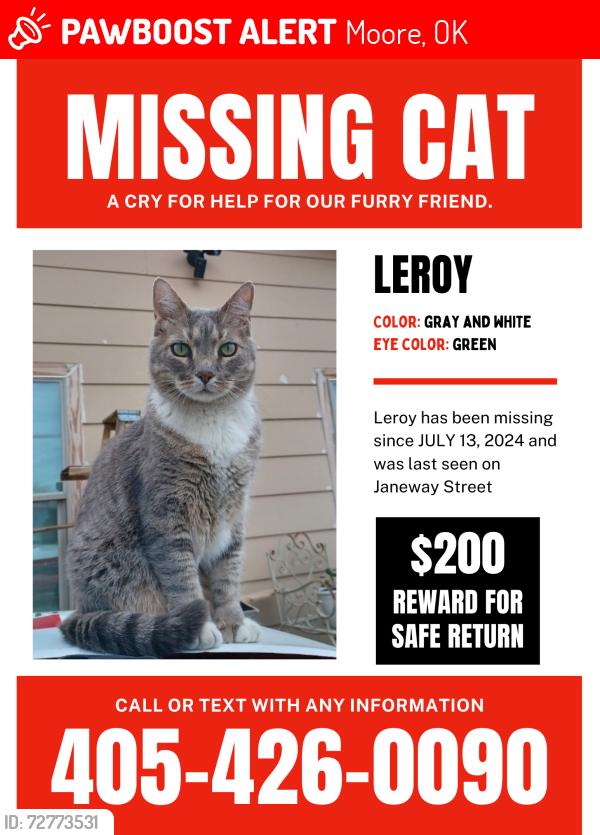 Lost Male Cat last seen Janeway , Moore, OK 73160