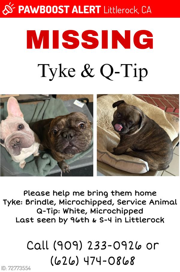 Lost Male Dog last seen 96th E and S-4, Littlerock, CA 93543