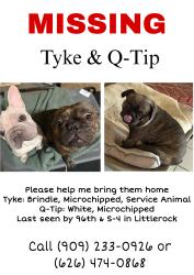 Lost Male Dog last seen 96th E and S-4, Littlerock, CA 93543
