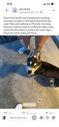 Found/Stray Female Dog last seen At the trail behind the neighborhood, Spring, TX 77373