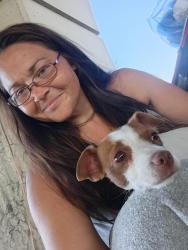 Lost Female Dog last seen Ella TC jester , Houston, TX 77008