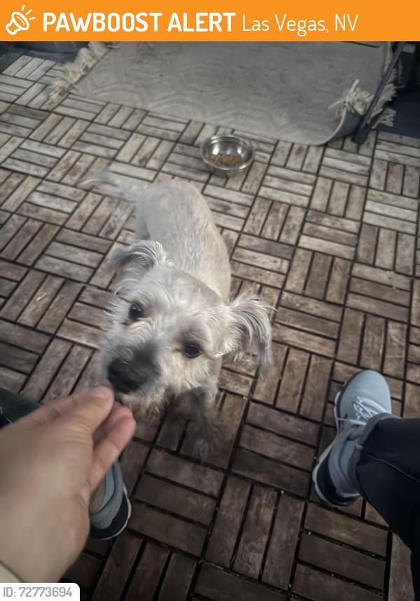 Found/Stray Male Dog last seen Elkhorn and Durango, Las Vegas, NV 89149