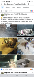 Lost Female Dog last seen By the Will Rogers Boys Scout Reservation CampGround, Cleveland, OK 74020