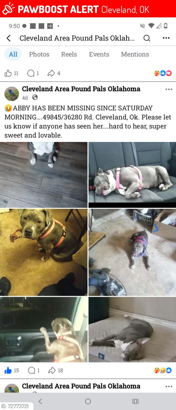 Lost Female Dog last seen By the Will Rogers Boys Scout Reservation CampGround, Cleveland, OK 74020