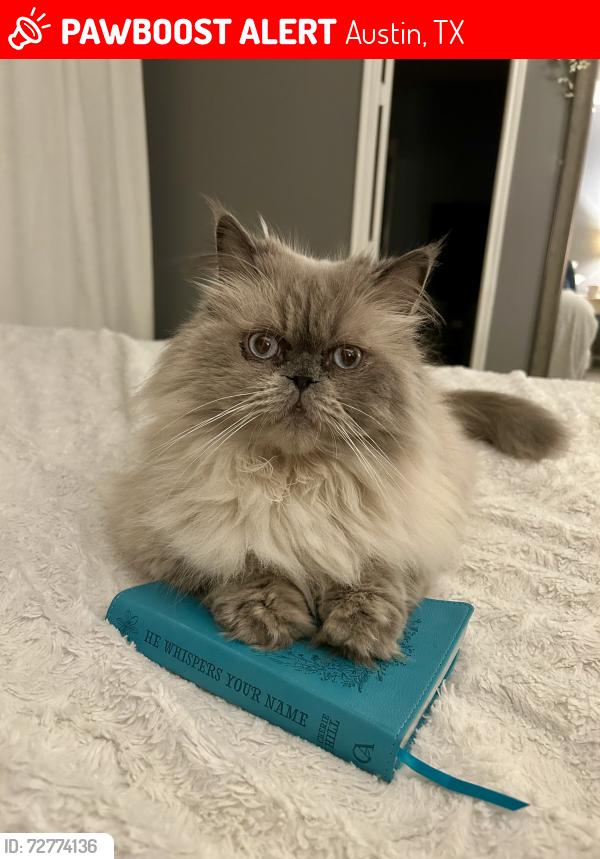 Lost Male Cat last seen Marlcom Tel, Austin, TX 78754