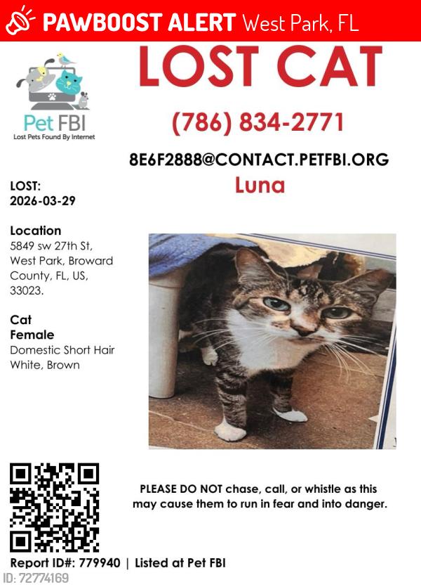 Lost Female Cat last seen 27th st , West Park, FL 33023