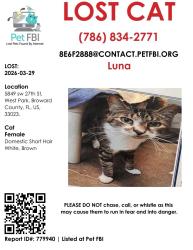 Lost Female Cat last seen 27th st , West Park, FL 33023