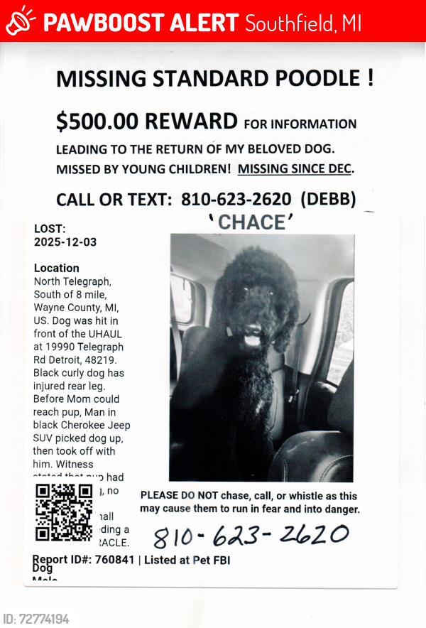 Lost Male Dog last seen Telegraph/8Mile, Southfield, MI 48075