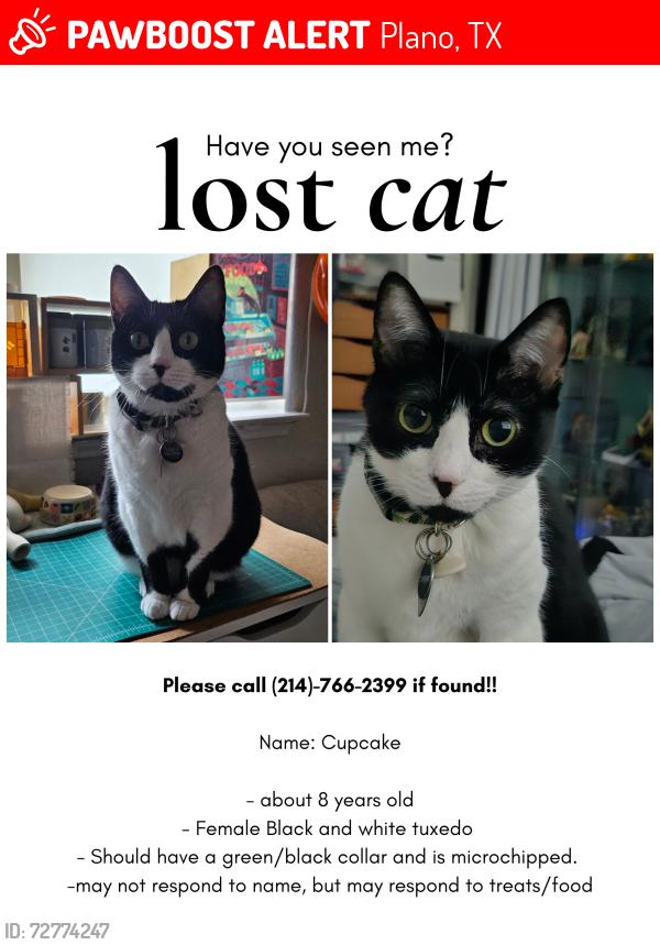 Lost Female Cat last seen Ruger Dr and Ruger Ct, Plano, TX 75023