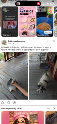Found/Stray Unknown Dog last seen Eastside on 105 and superior , Cleveland, OH 44106