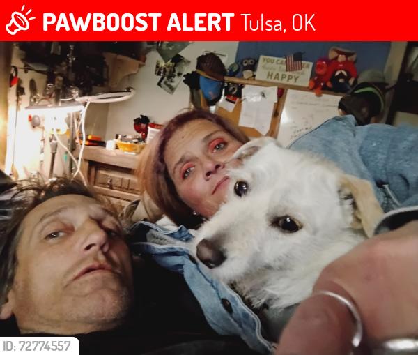 Lost Male Dog last seen 129th 26, Tulsa, OK 74108