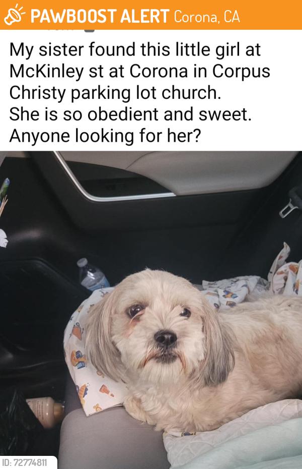 Found/Stray Female Dog last seen Magnolia & mackenly , Corona, CA 92882