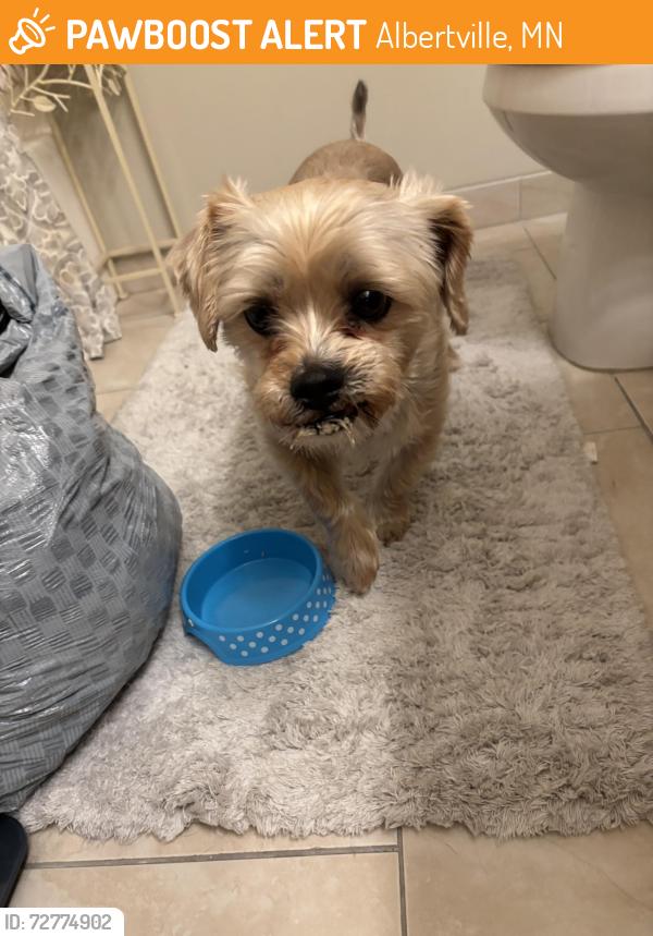 Found/Stray Female Dog last seen 61street NE and Karston , Albertville, MN 55301