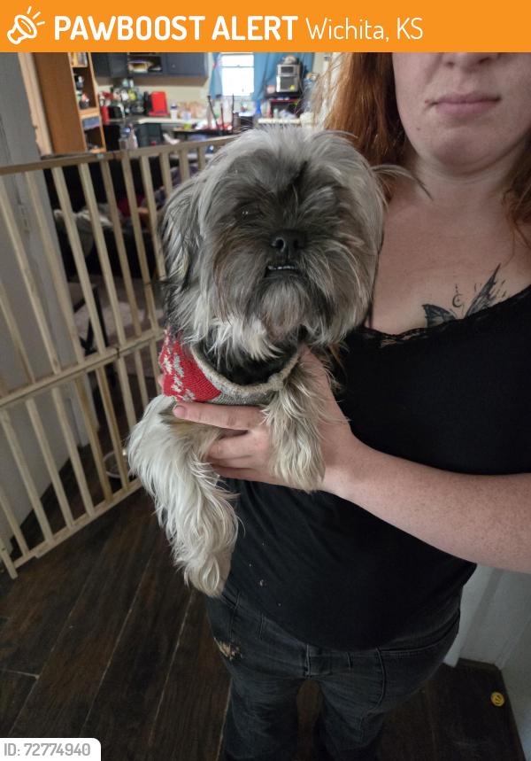 Found/Stray Male Dog last seen George Washington , Wichita, KS 67210