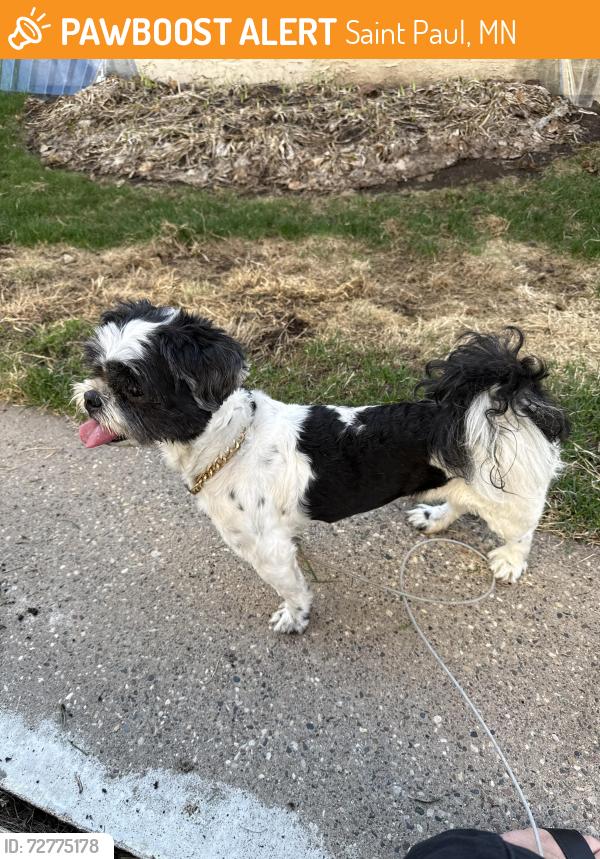 Found/Stray Unknown Dog last seen Montana Avenue and Ruth Street, Saint Paul, MN 55119