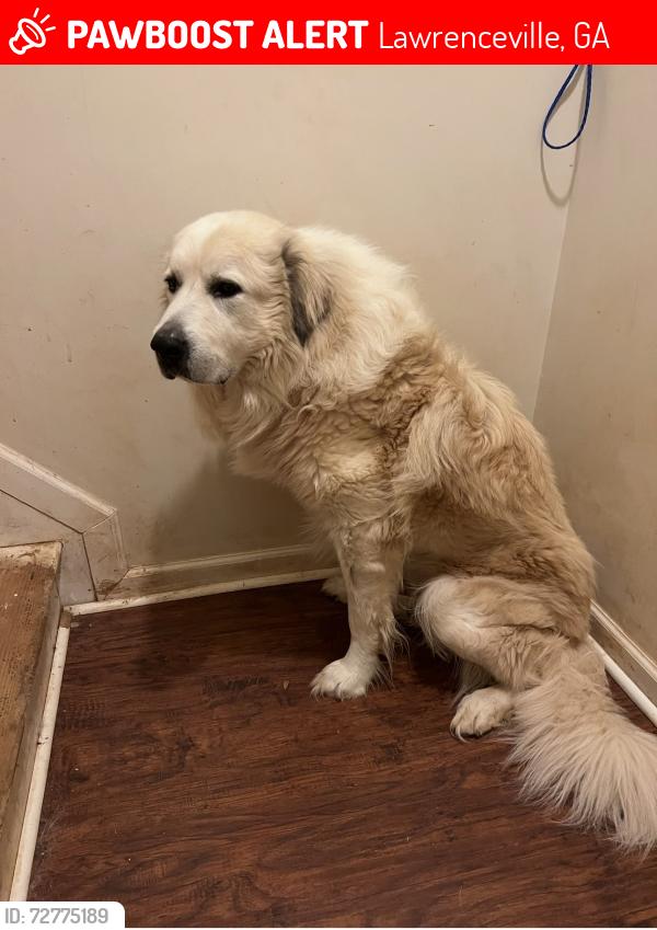 Lost Male Dog last seen River colony north neighborhood in Lawrenceville , Lawrenceville, GA 30043
