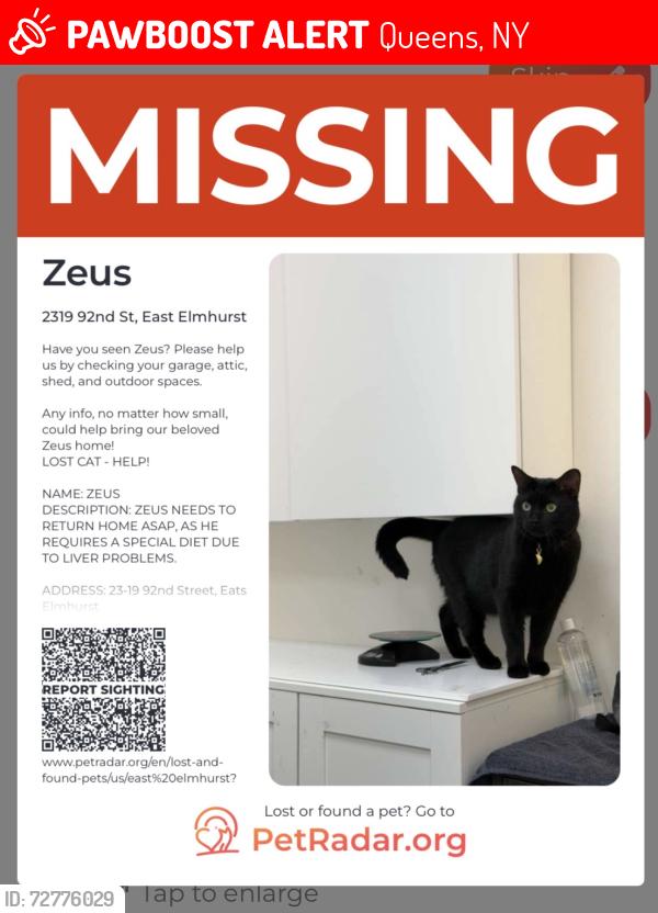 Lost Male Cat last seen 92ns street, Queens, NY 11369